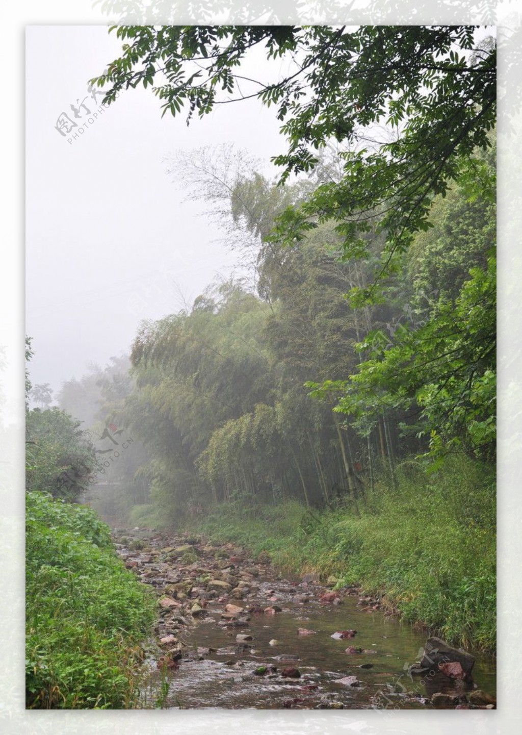 溪涧竹林图片