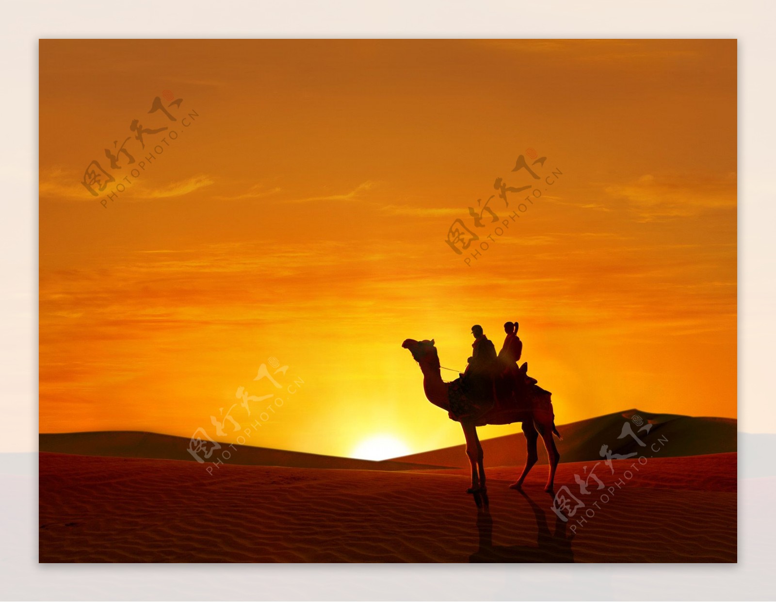 大漠夕下图片