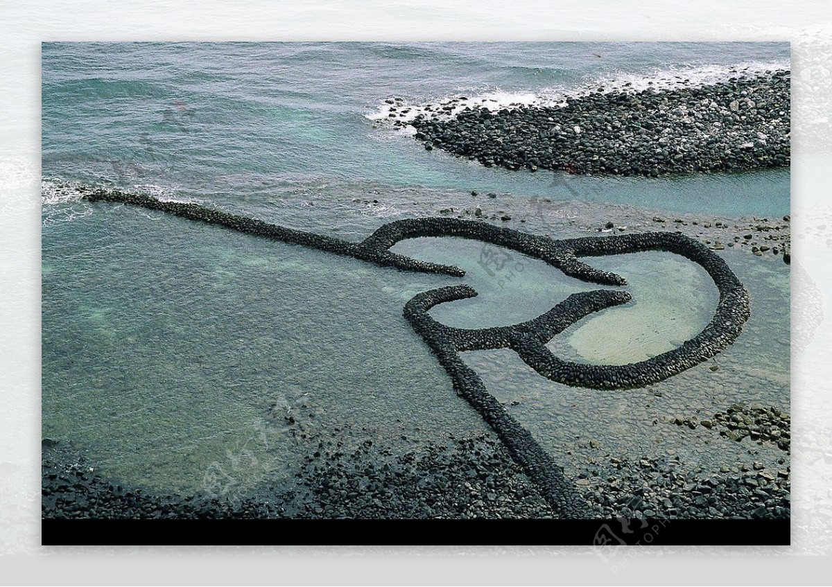 海邊澤地生態图片