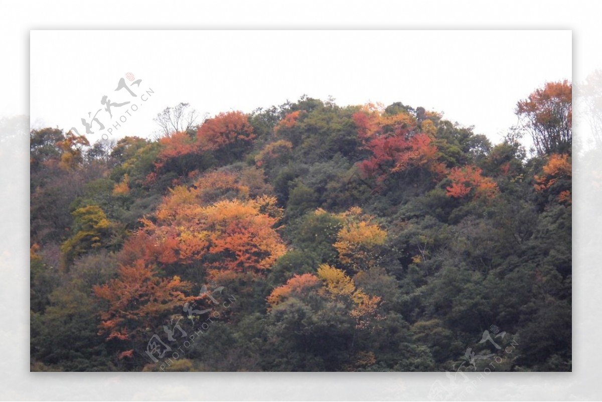 山峦秋景图片