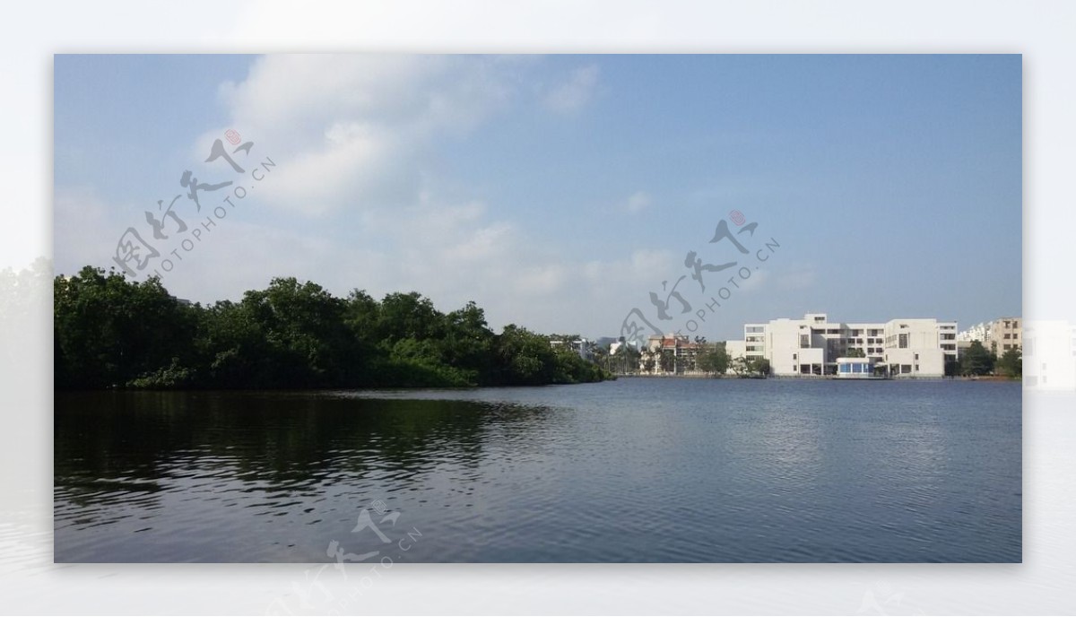 东坡湖图片