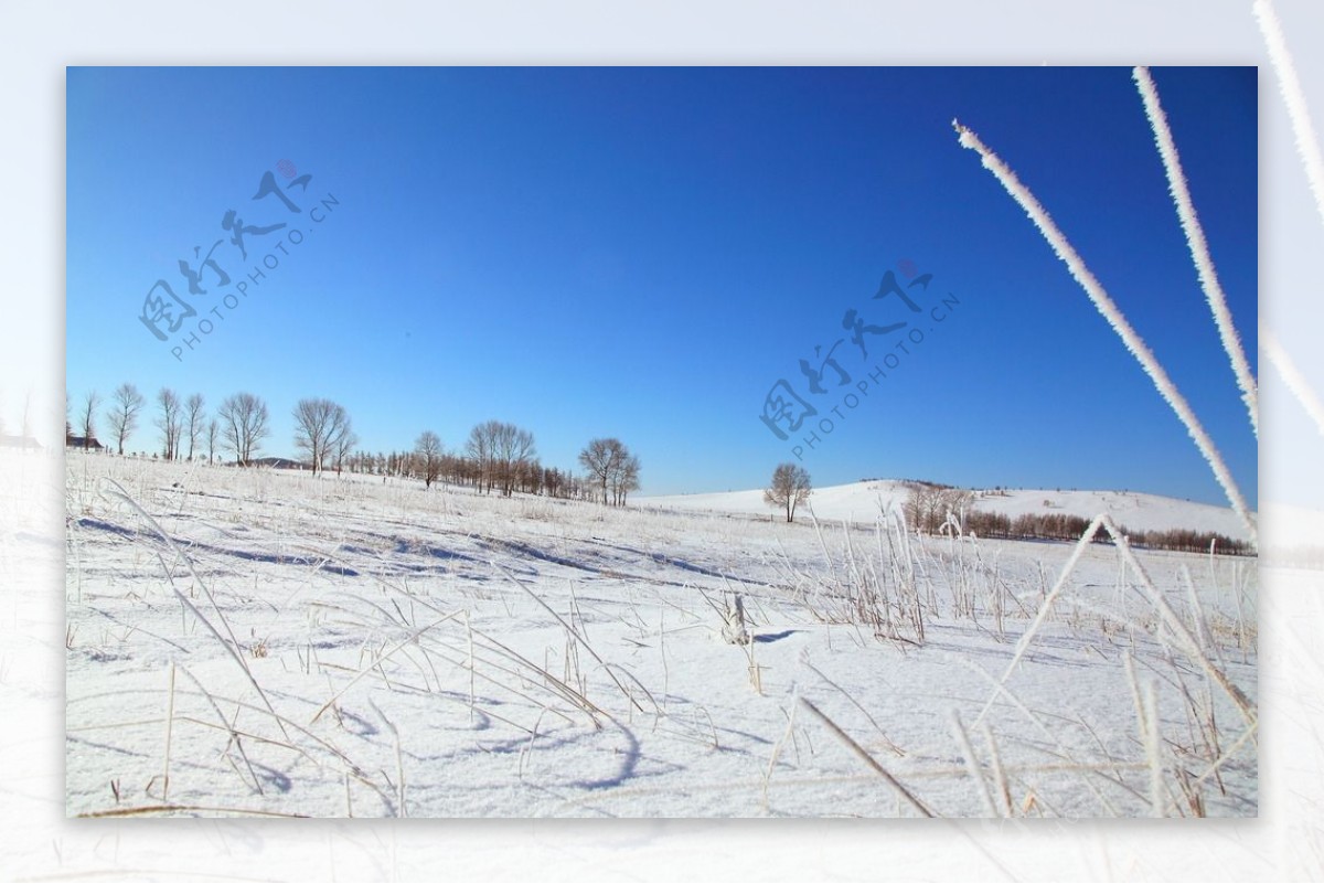内蒙雪景图图片