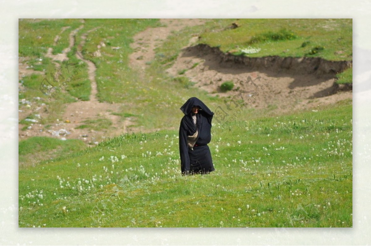 藏区牧民图片