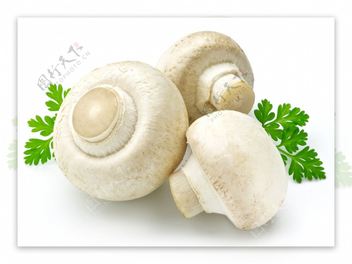 蘑菇炒青菜的做法，掌握这个技巧，能做出家的味道_哔哩哔哩_bilibili