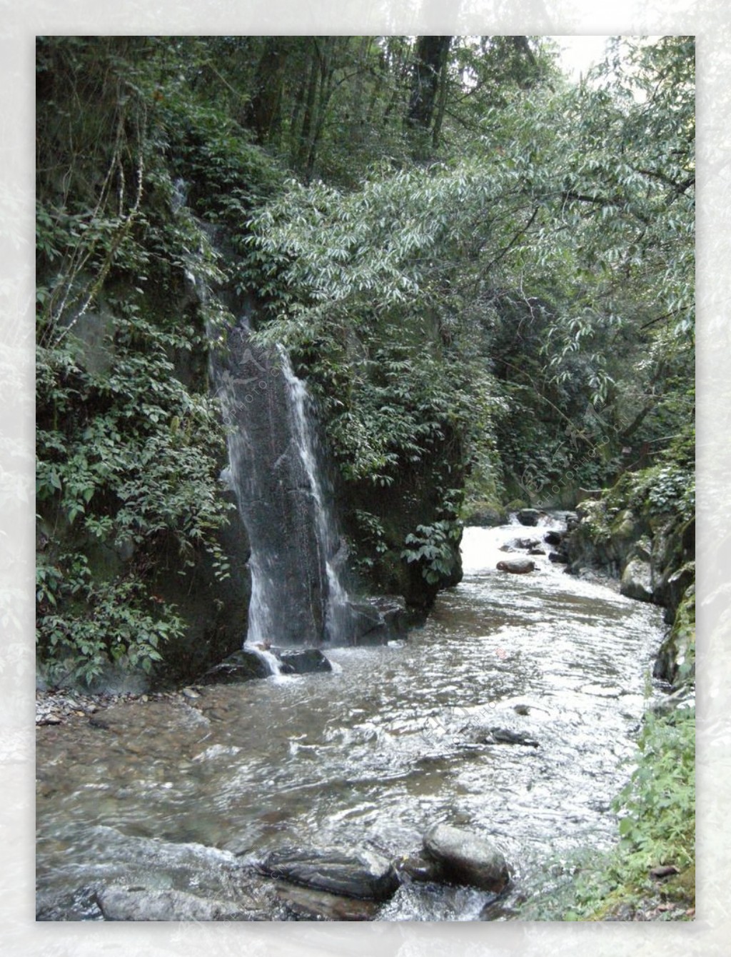 哀牢山风景图片