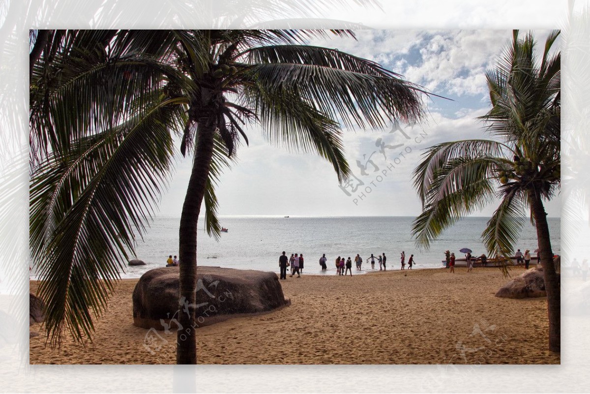 椰树沙滩图片