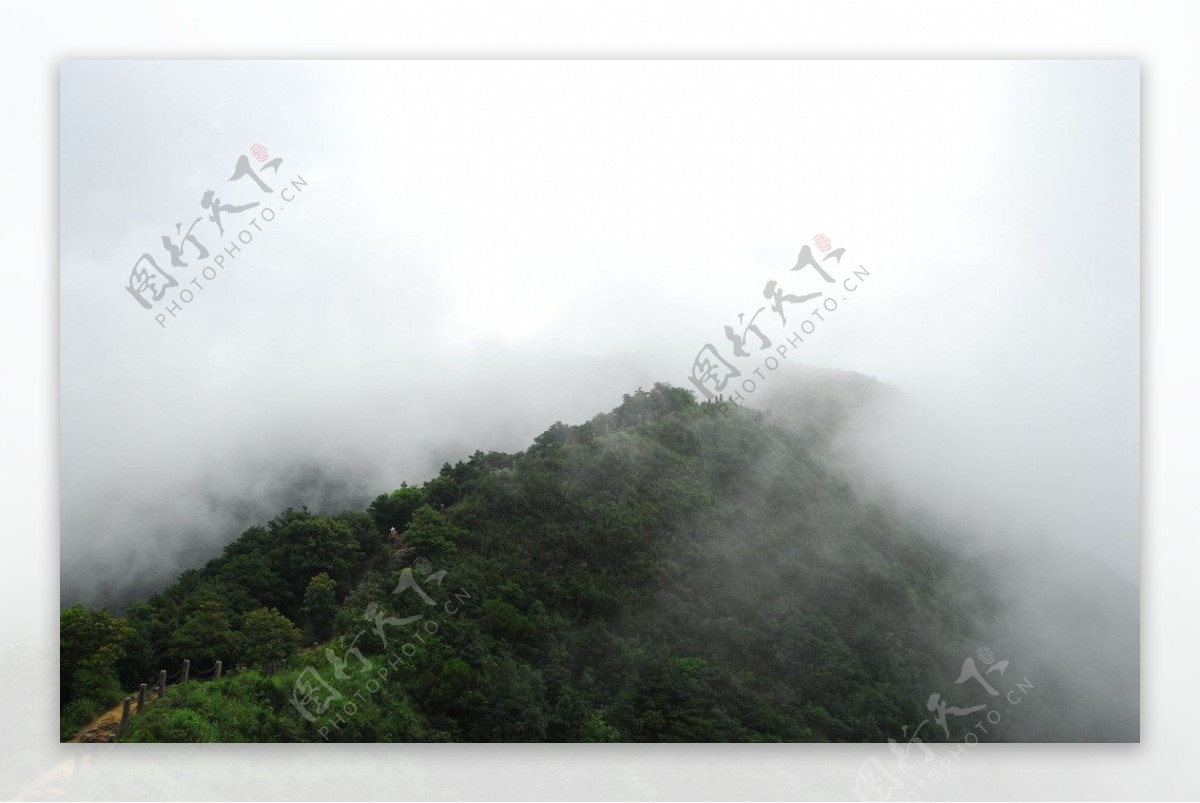 梧桐山风景图片
