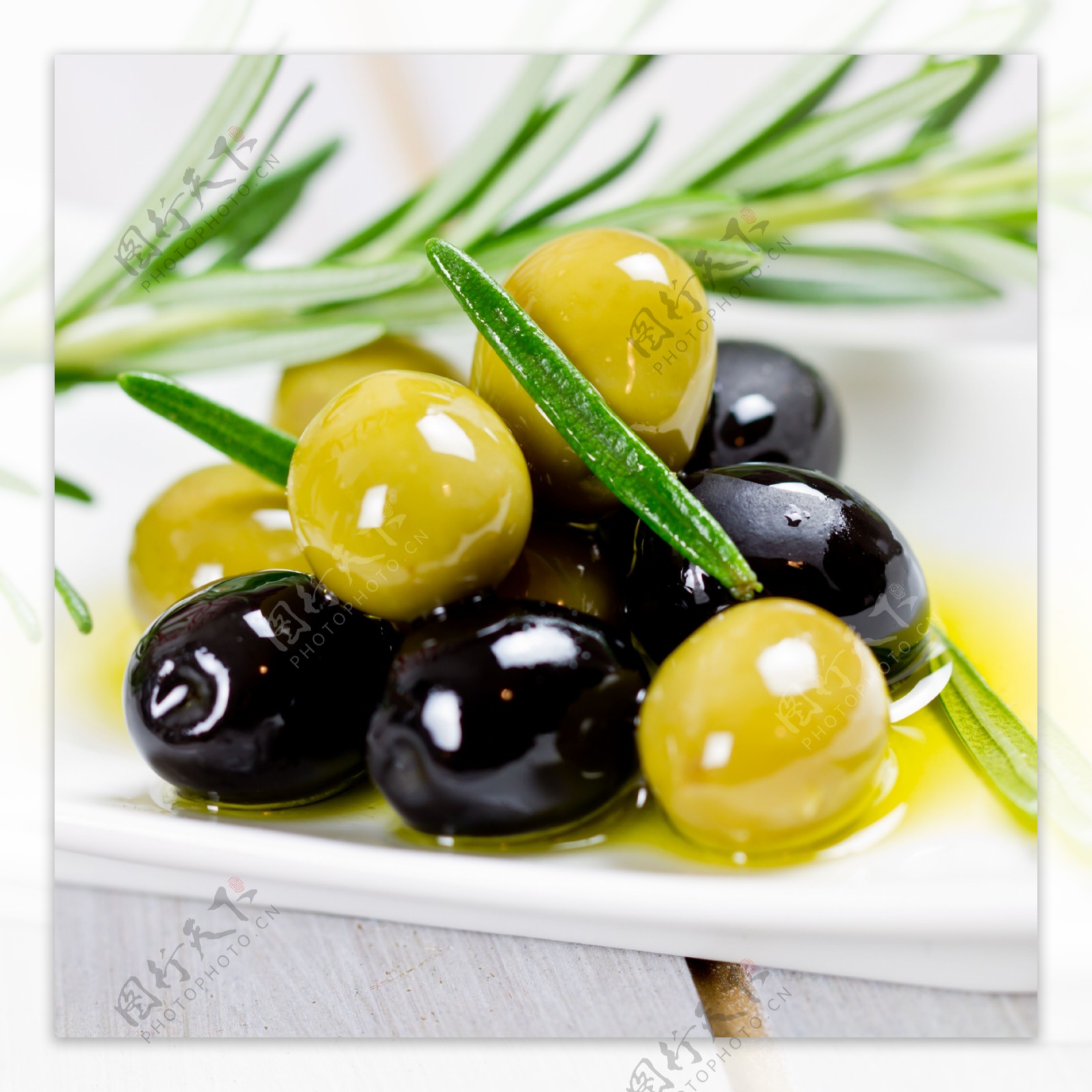 油橄榄图片