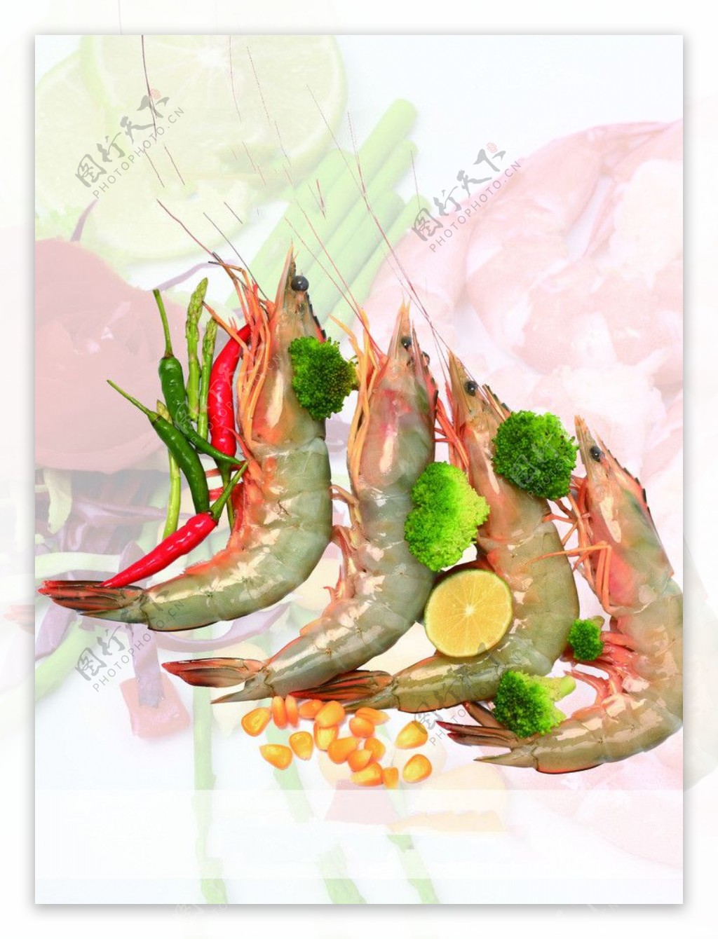 海白虾图片