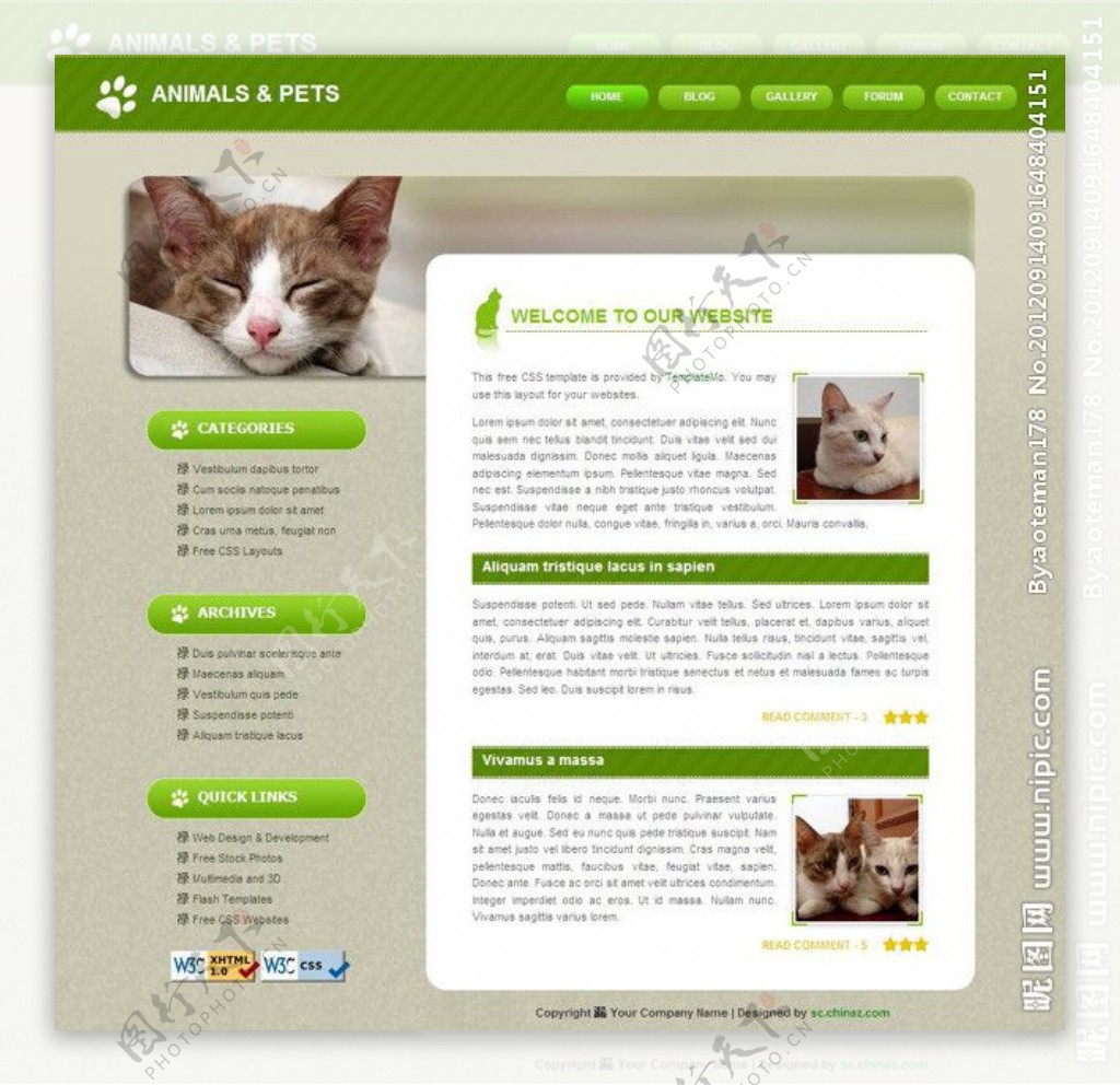 动物宠物网页模板图片