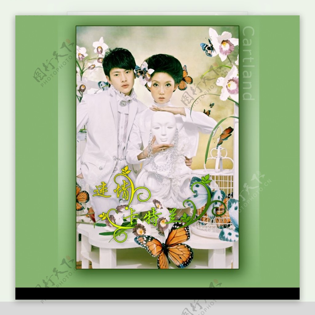 绿色婚纱模板迷情卡特兰封面图片