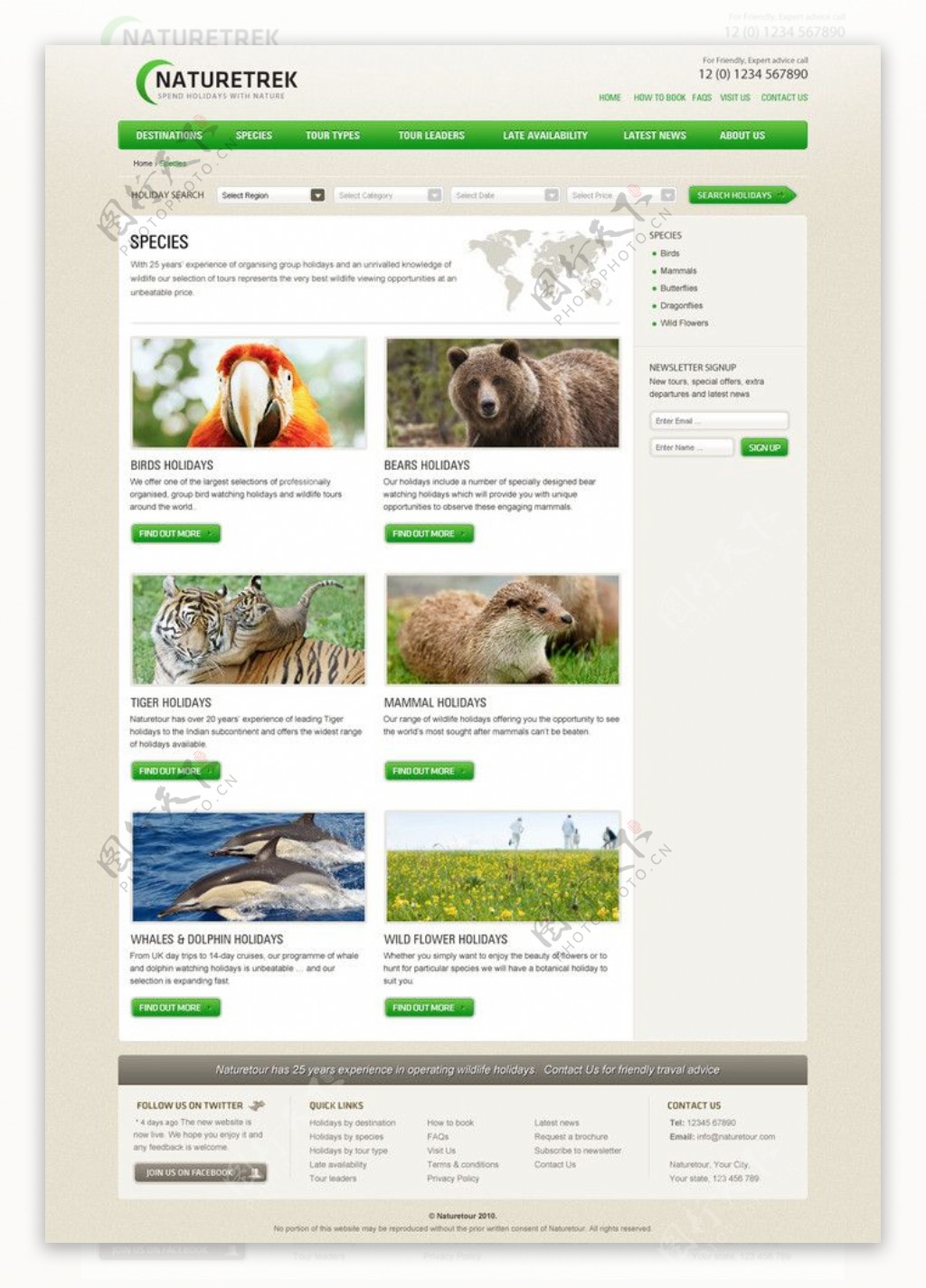 绿色动物网站模板图片
