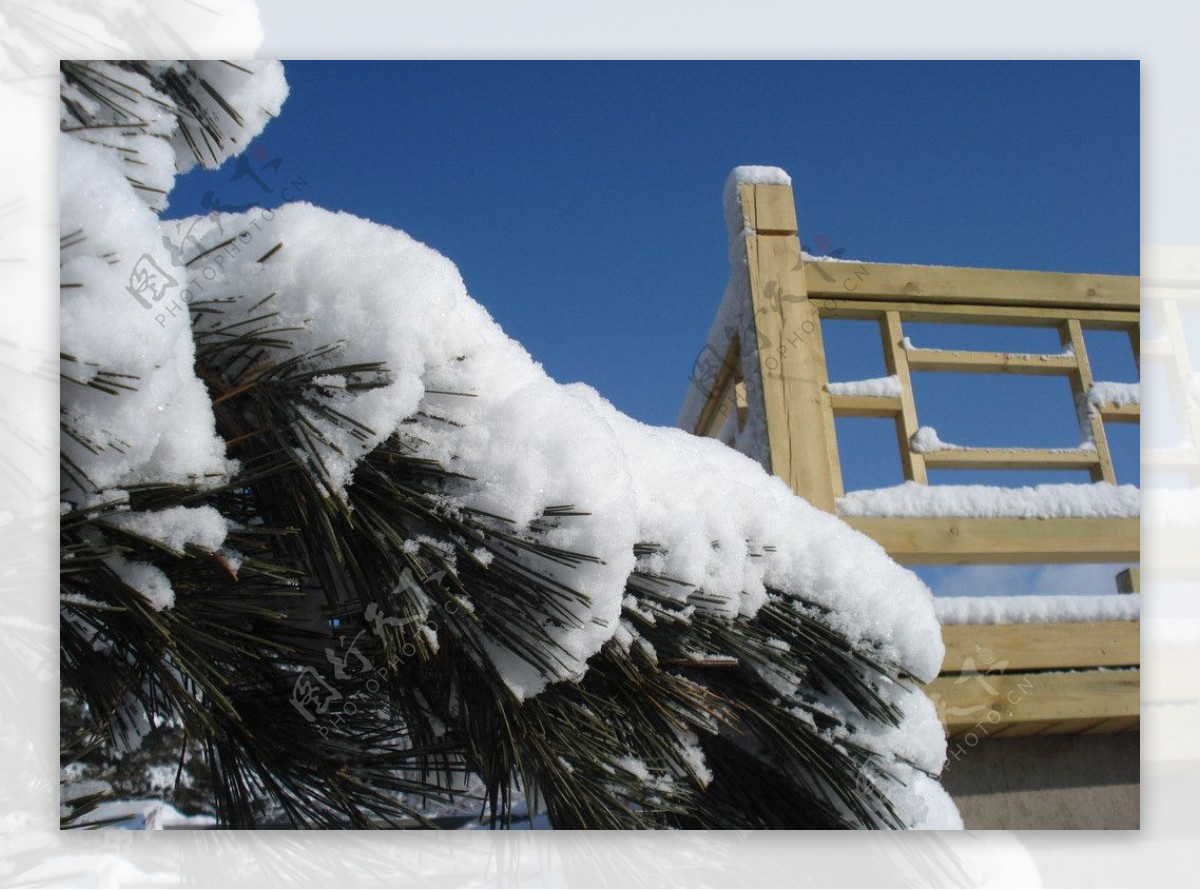 长白县雪景图片