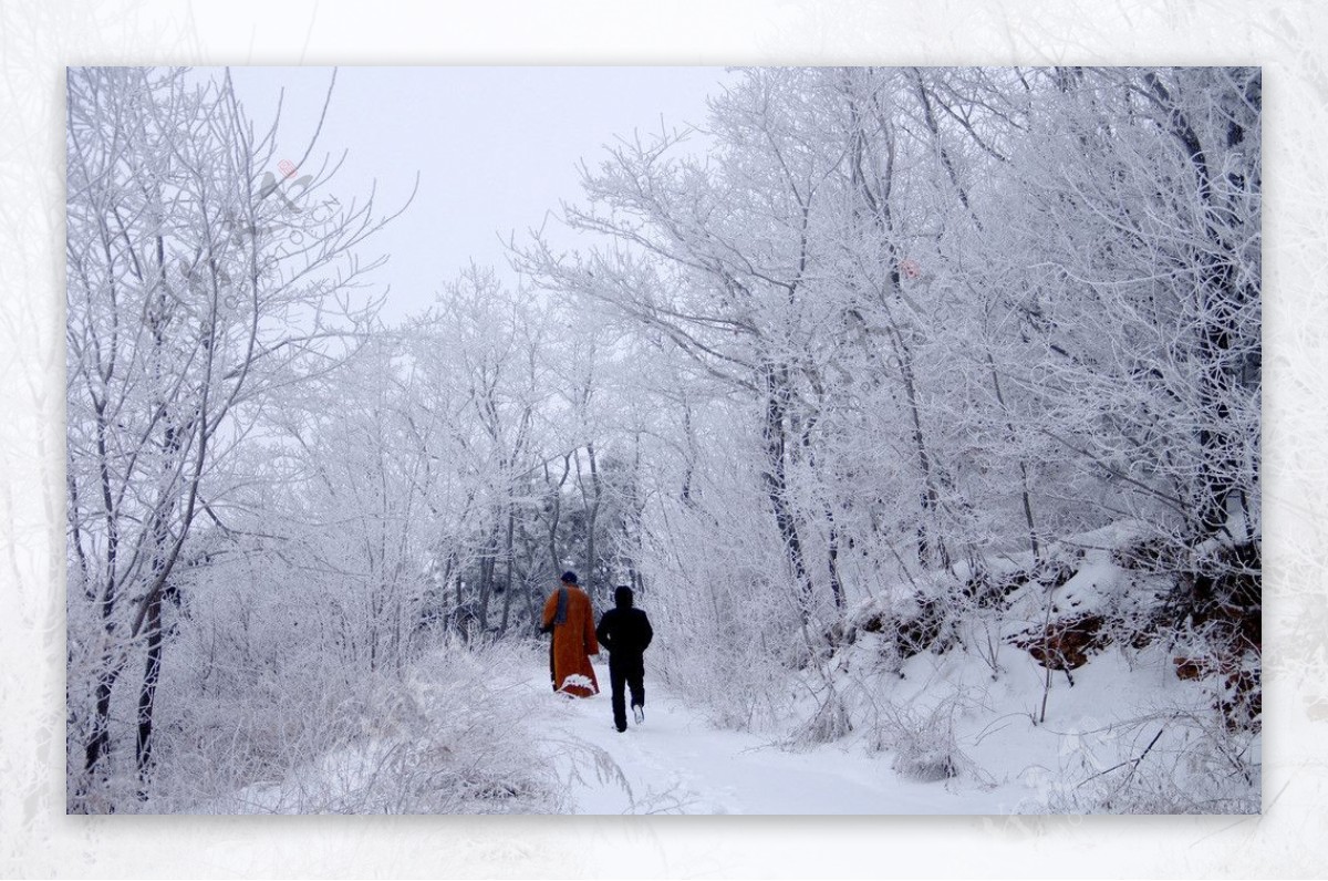 渑池韶山雪景图片