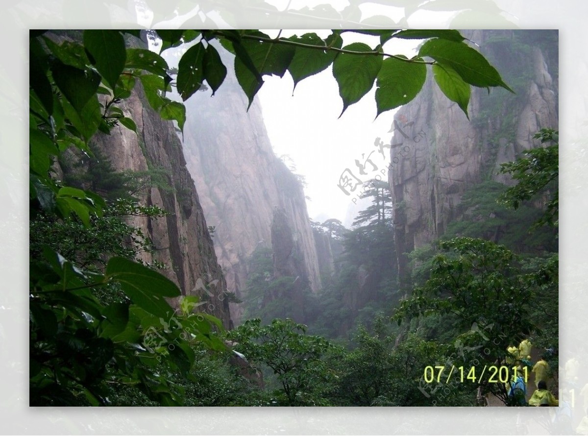 黄山雨后图片