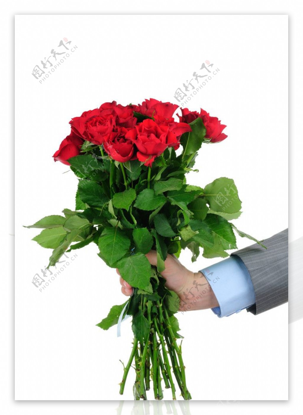 送红玫瑰花图片