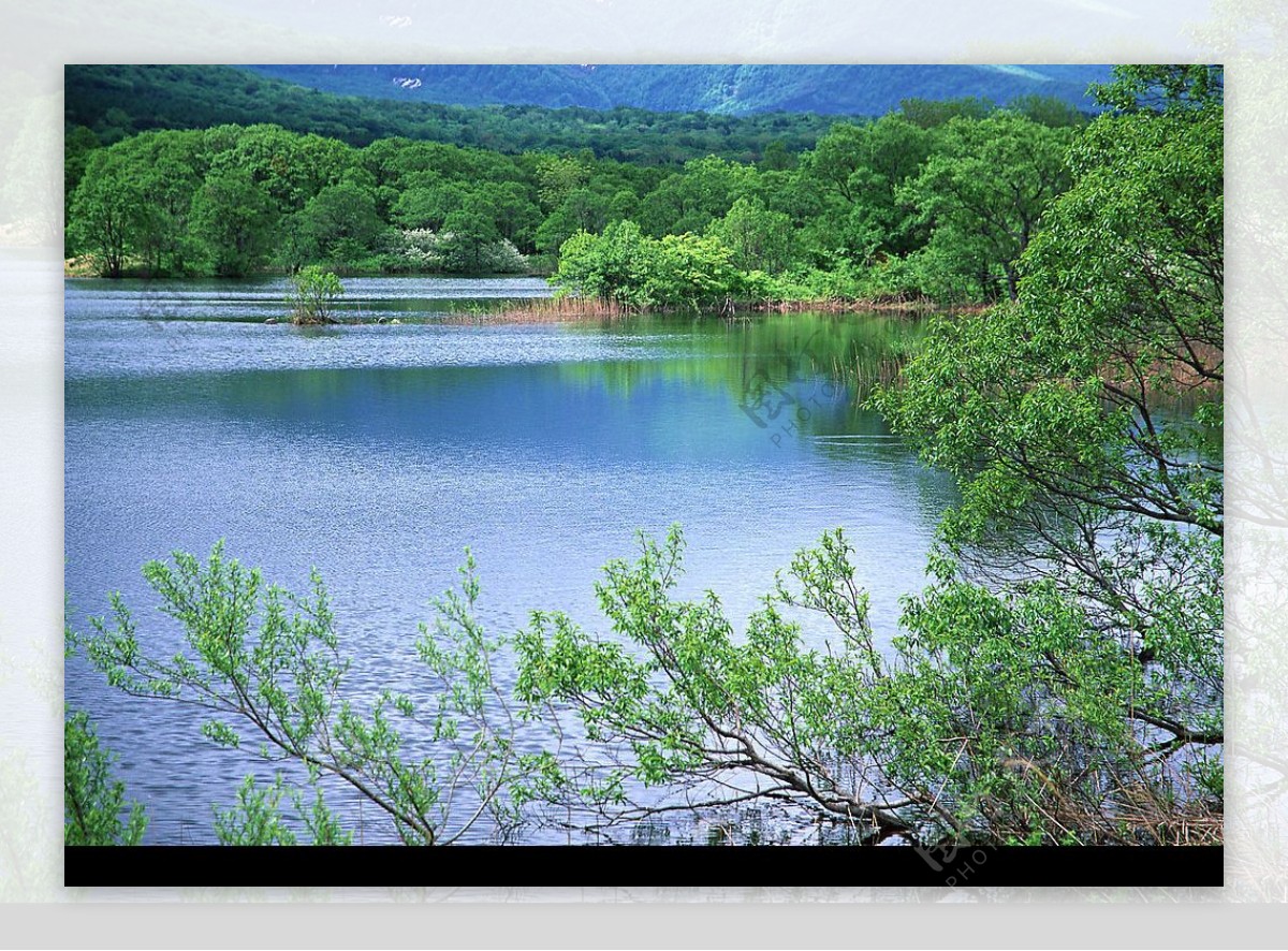 绿树蓝湖美景图图片