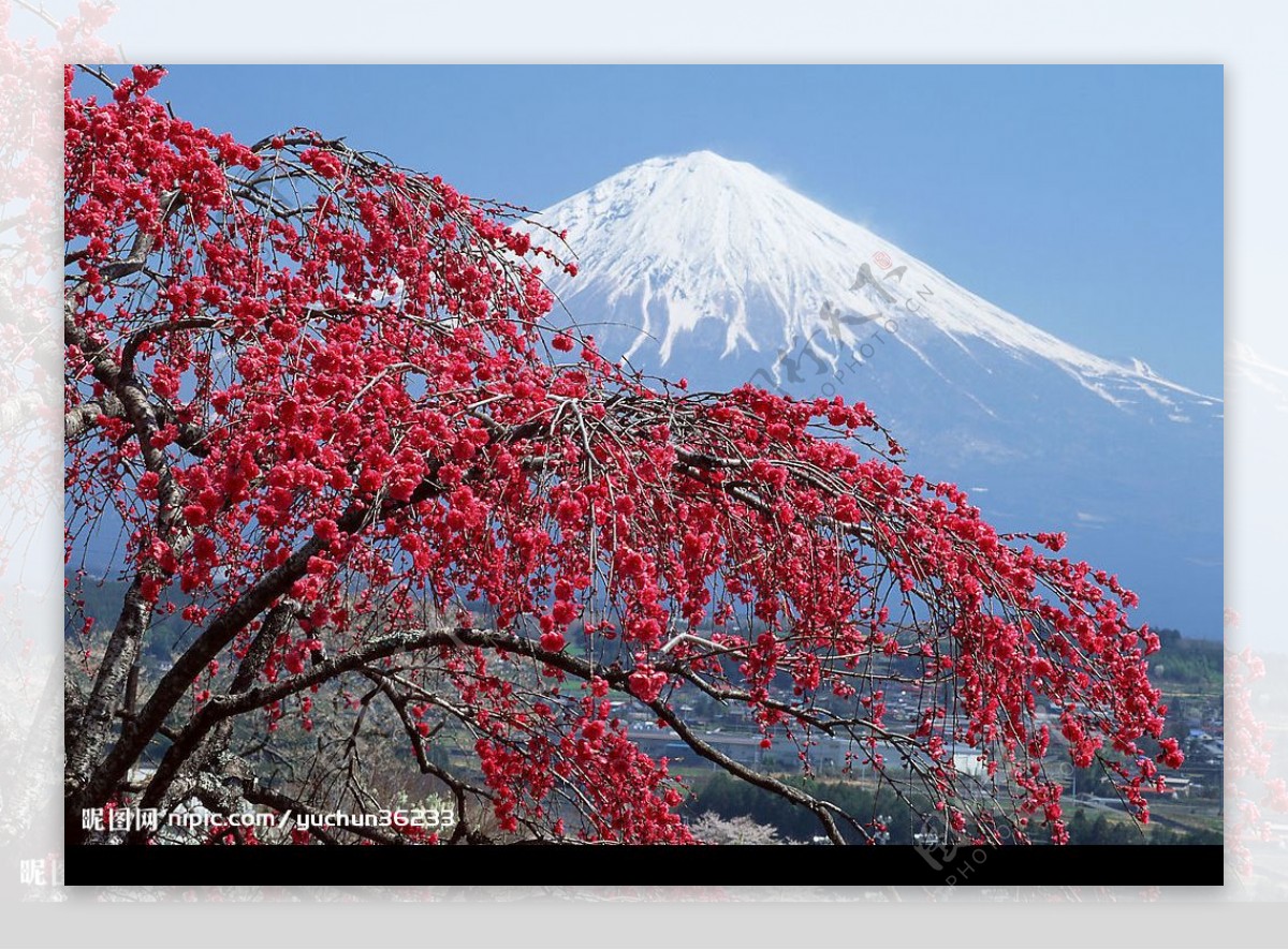 富士山图片