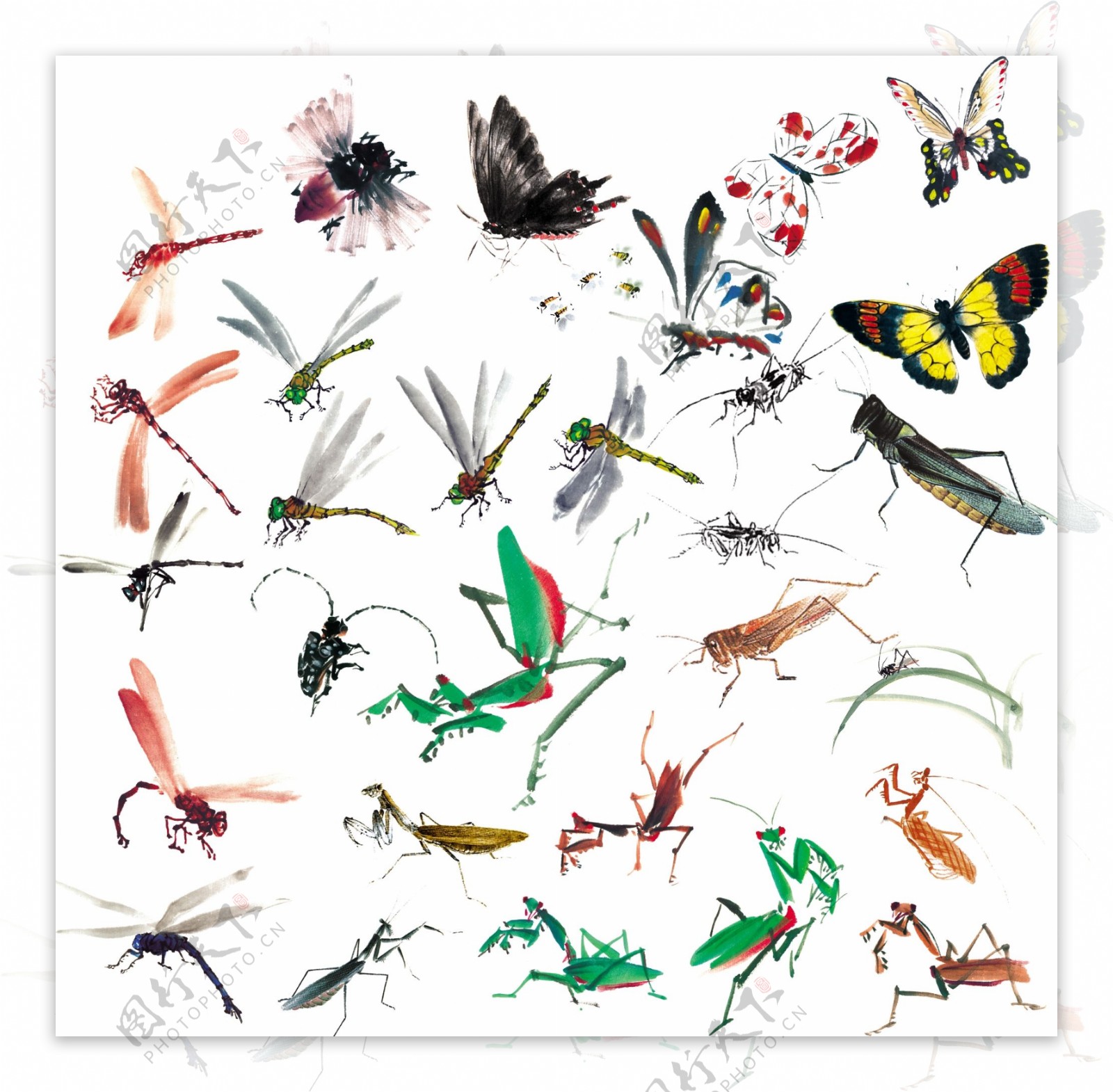 国画水墨昆虫图片