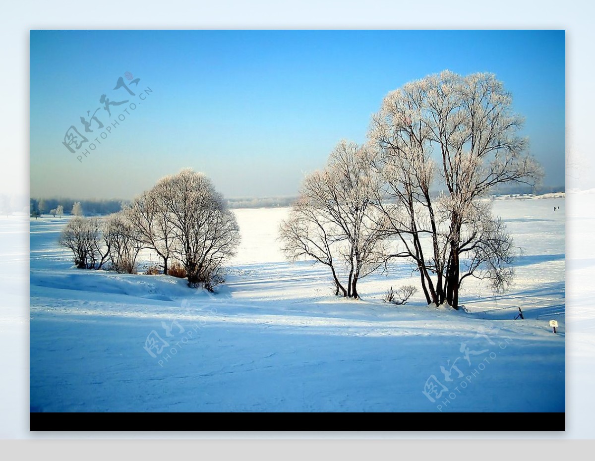 白色冬季美丽雪景图片