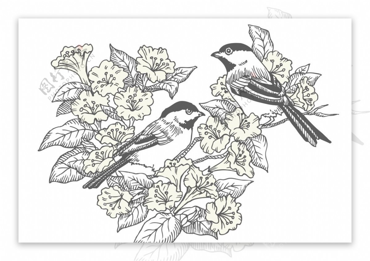 小鸟花卉背景图片
