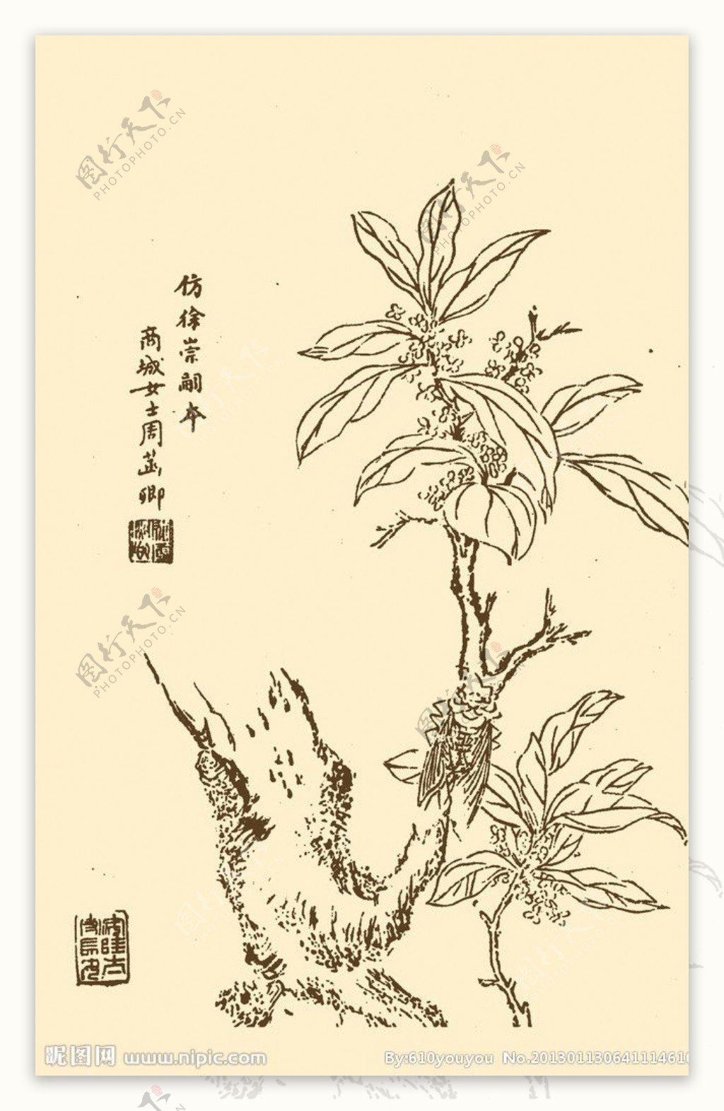 芥子园画谱翎毛图片