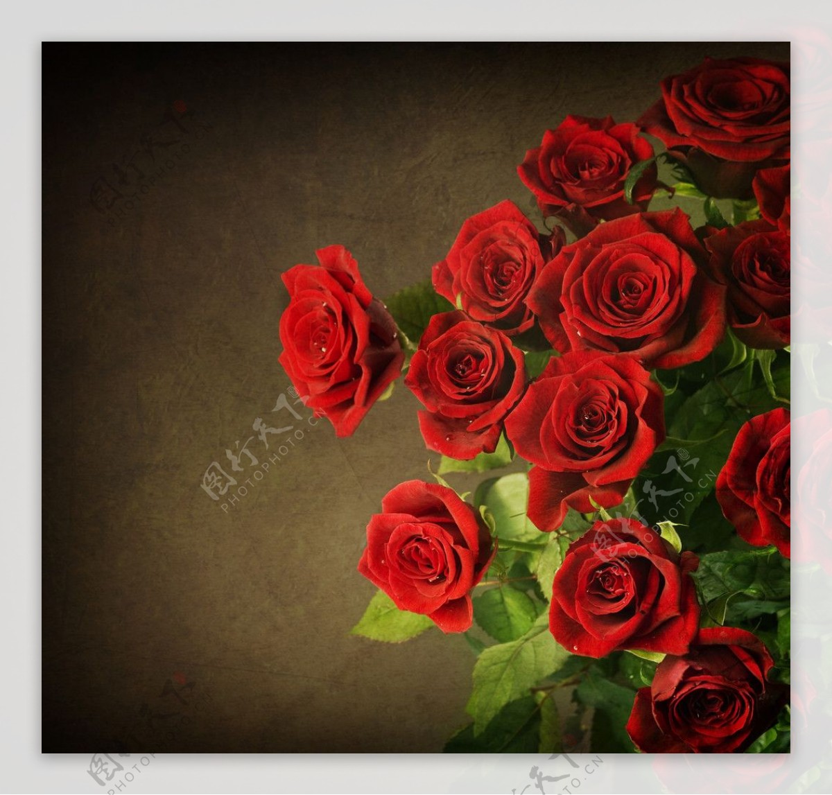 怀旧古典花纹红玫瑰图片