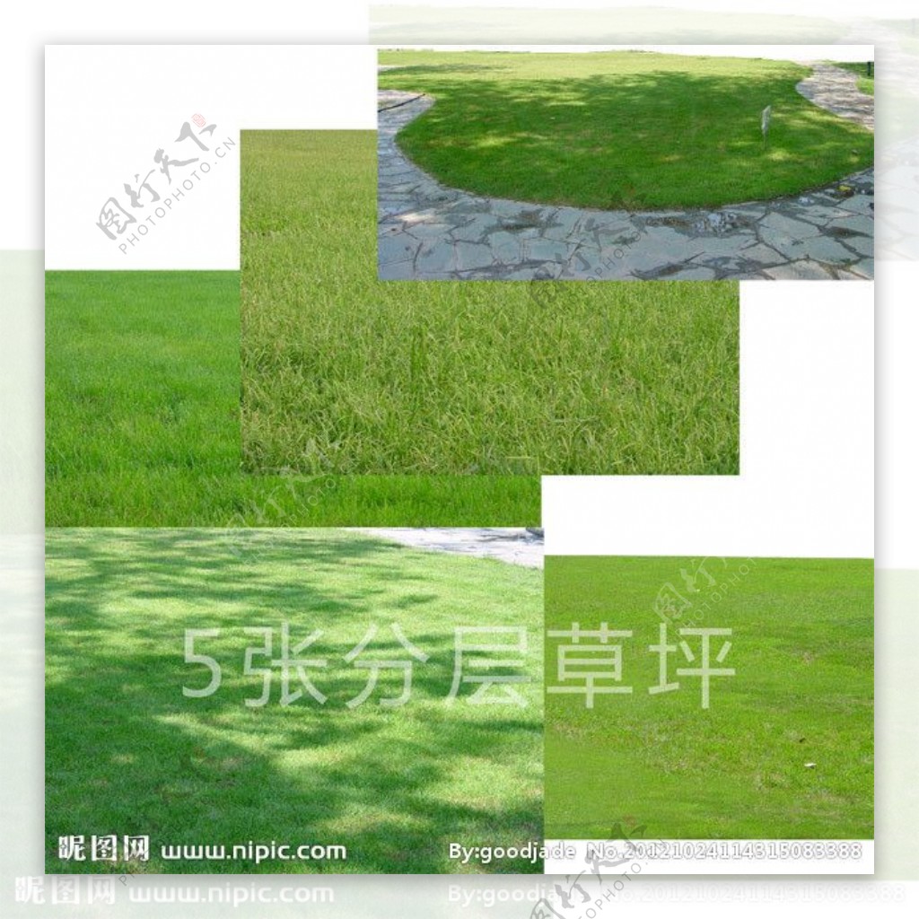 绿色草坪图片