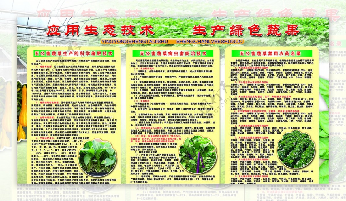 绿色蔬果生产展板图片