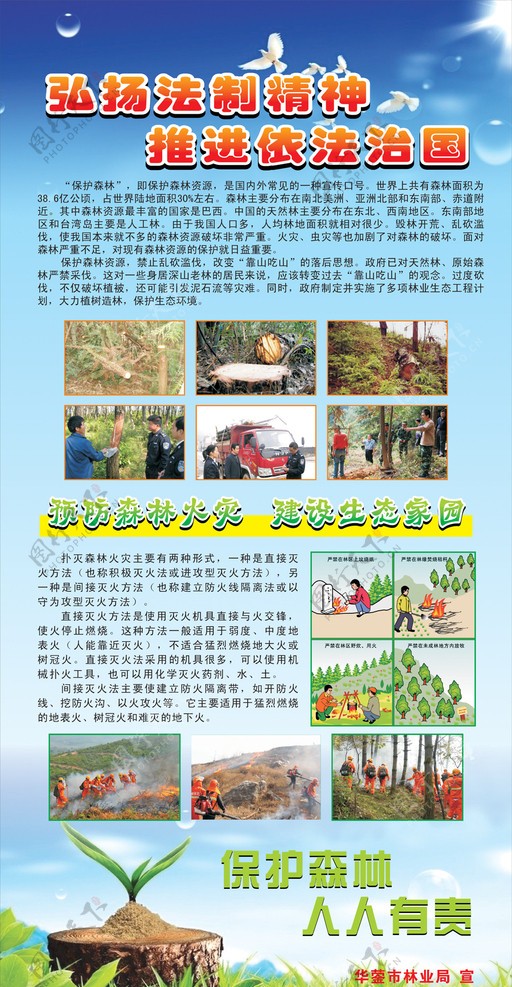 林业法制展板图片