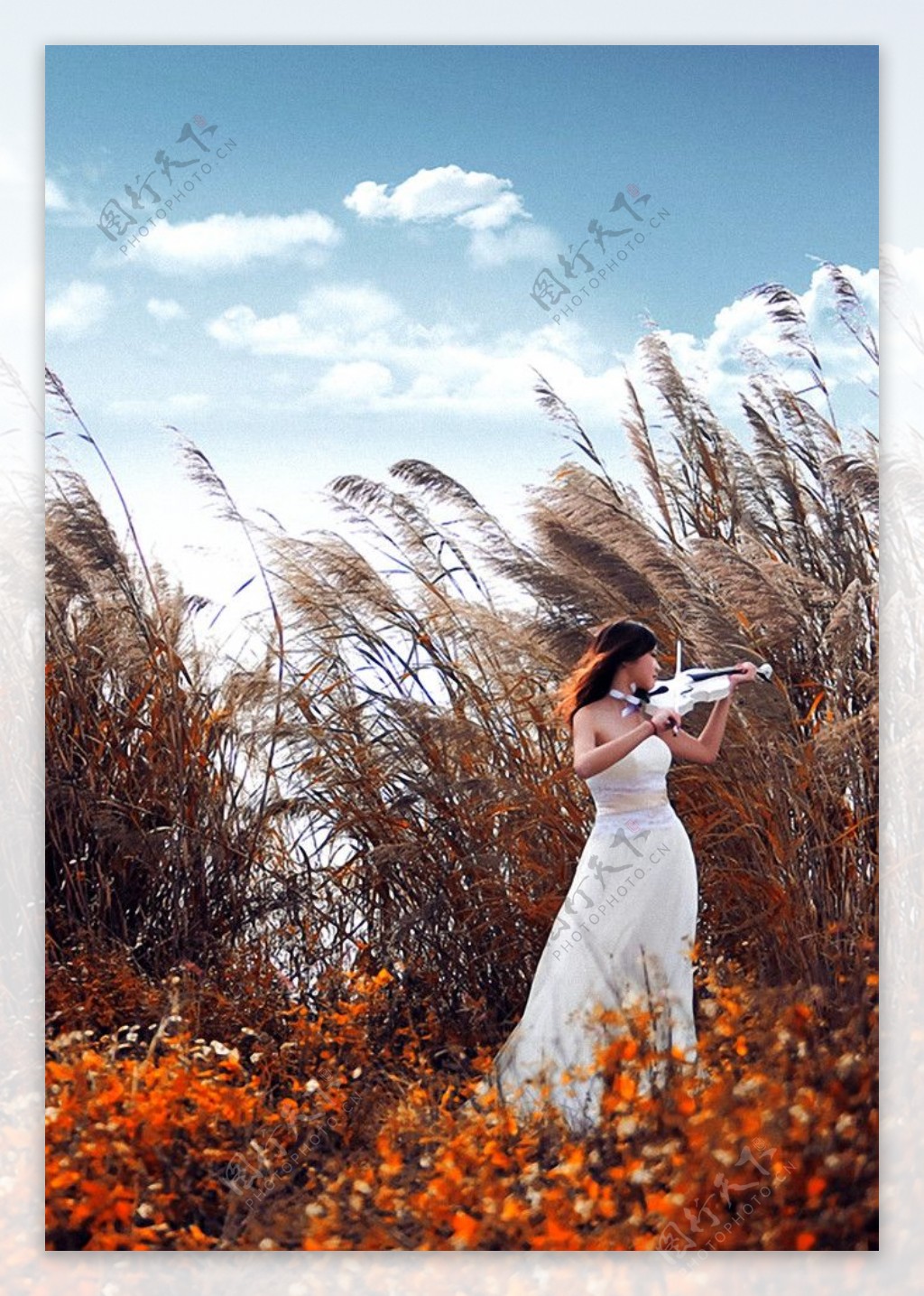 拉小提琴的女人图片