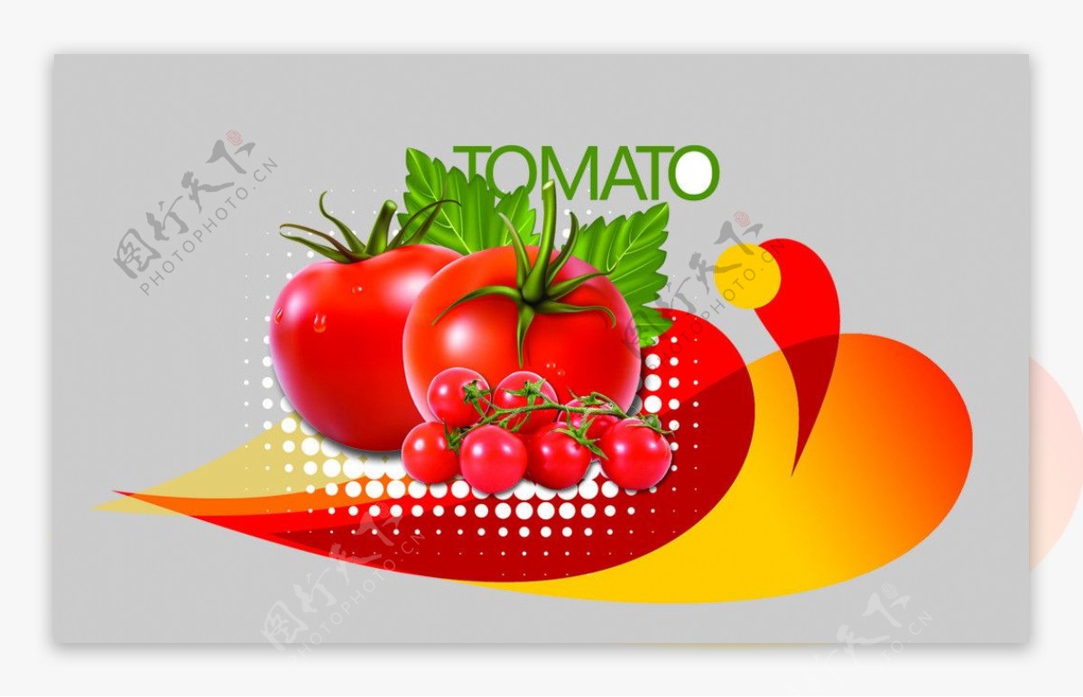 番茄专用西红柿图片