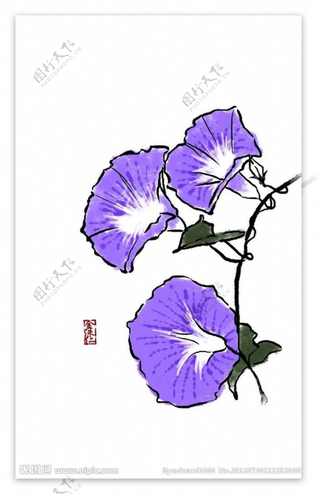 轻松学会 牵牛花简笔画_花朵简笔画