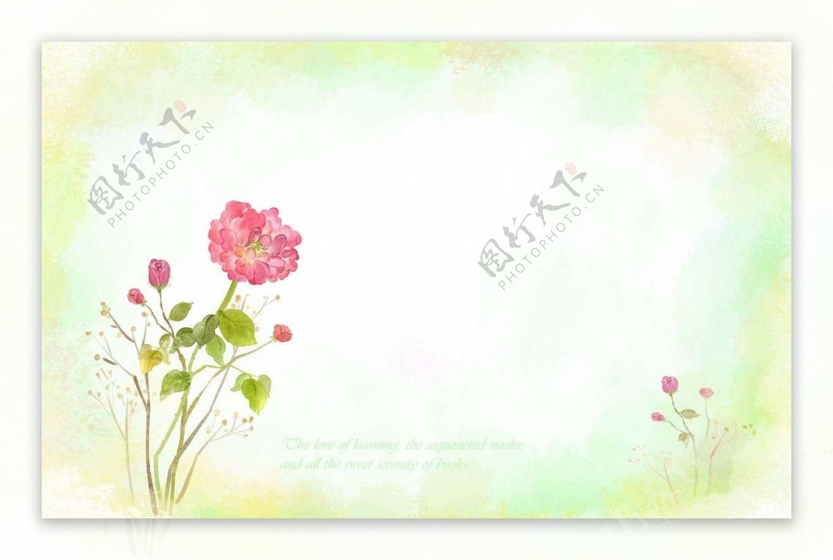 玫瑰花信纸背景图片