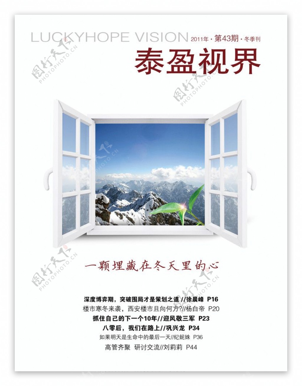泰盈视界2012冬季刊封面设计图片
