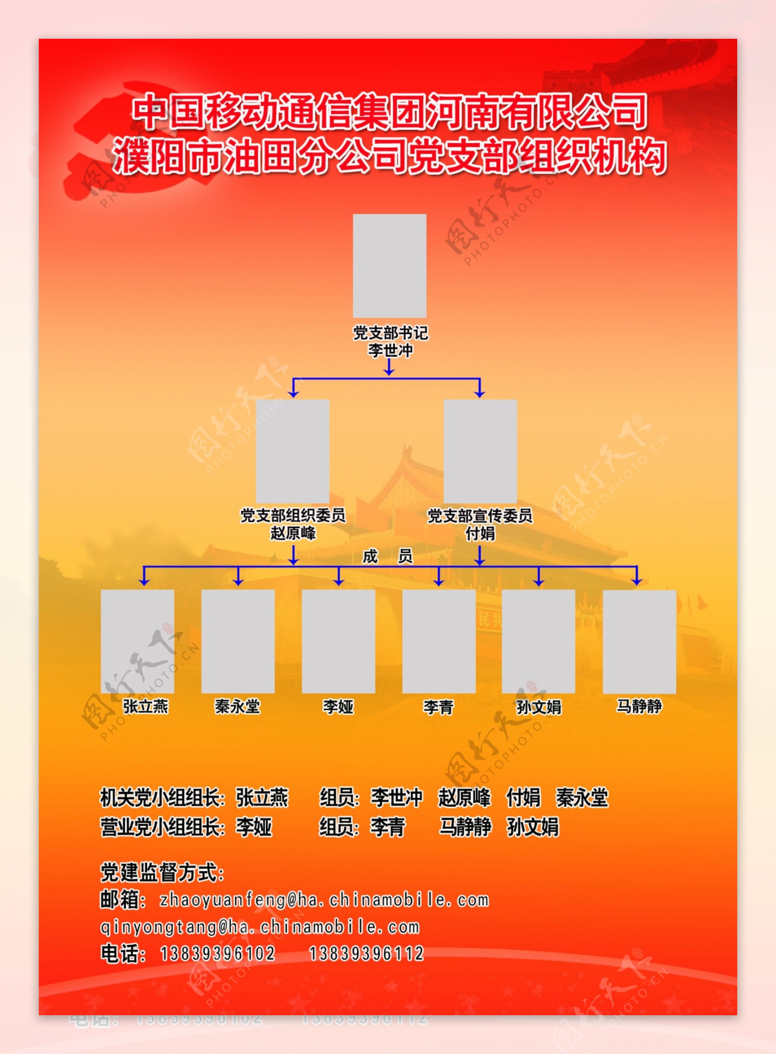 党组织结构图片