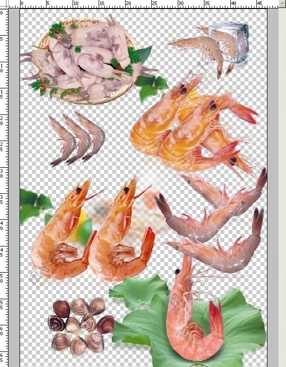 海蛏东方虾海虾蛤分层图片