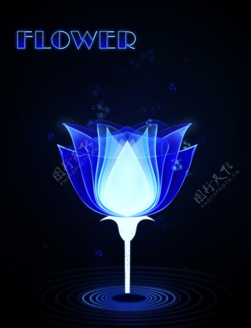 蓝色光束花朵图片