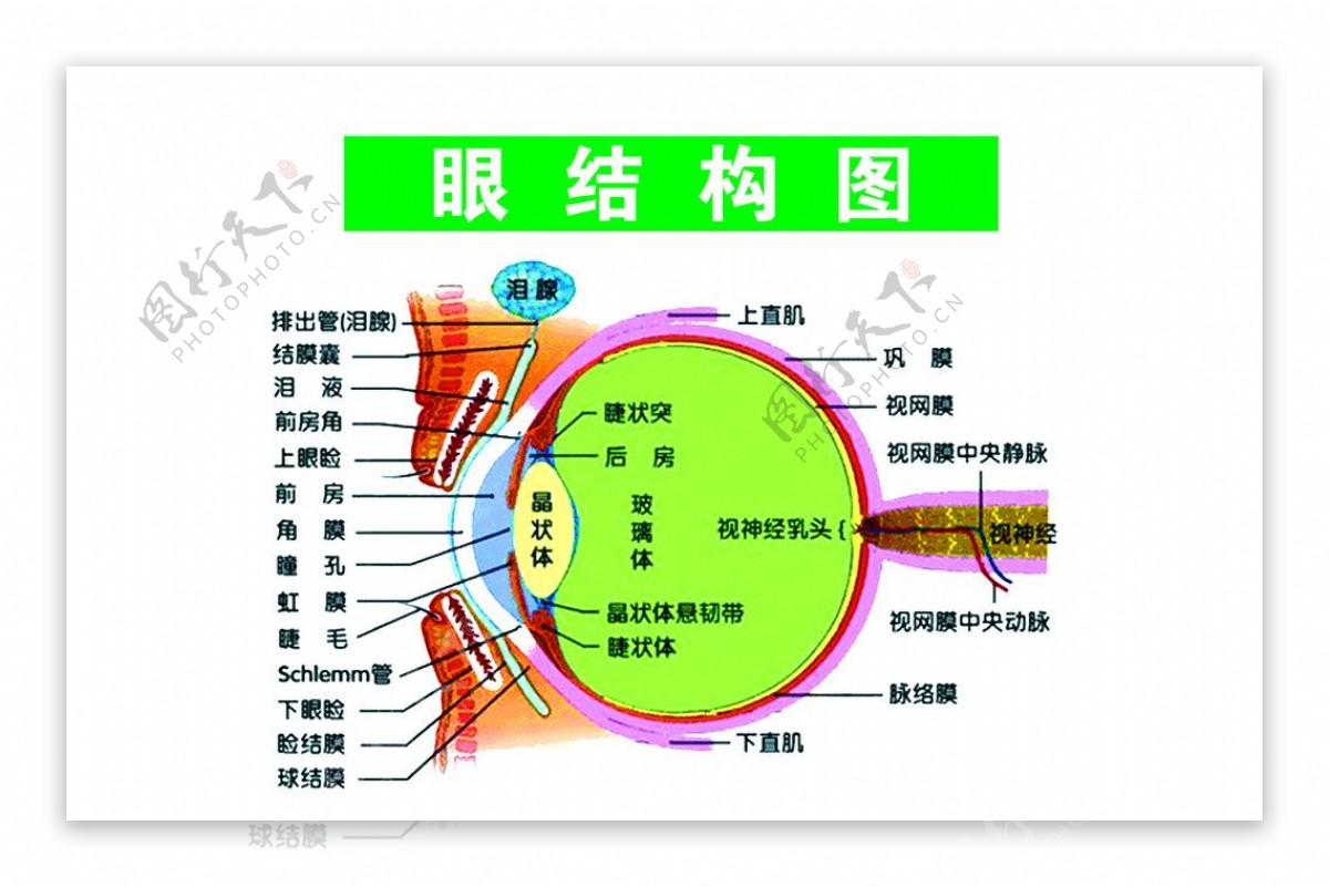 人眼近视远视散光原理图图片