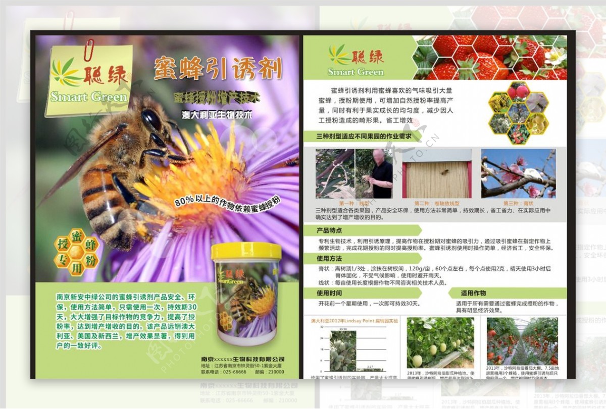蜜蜂引诱剂单页图片