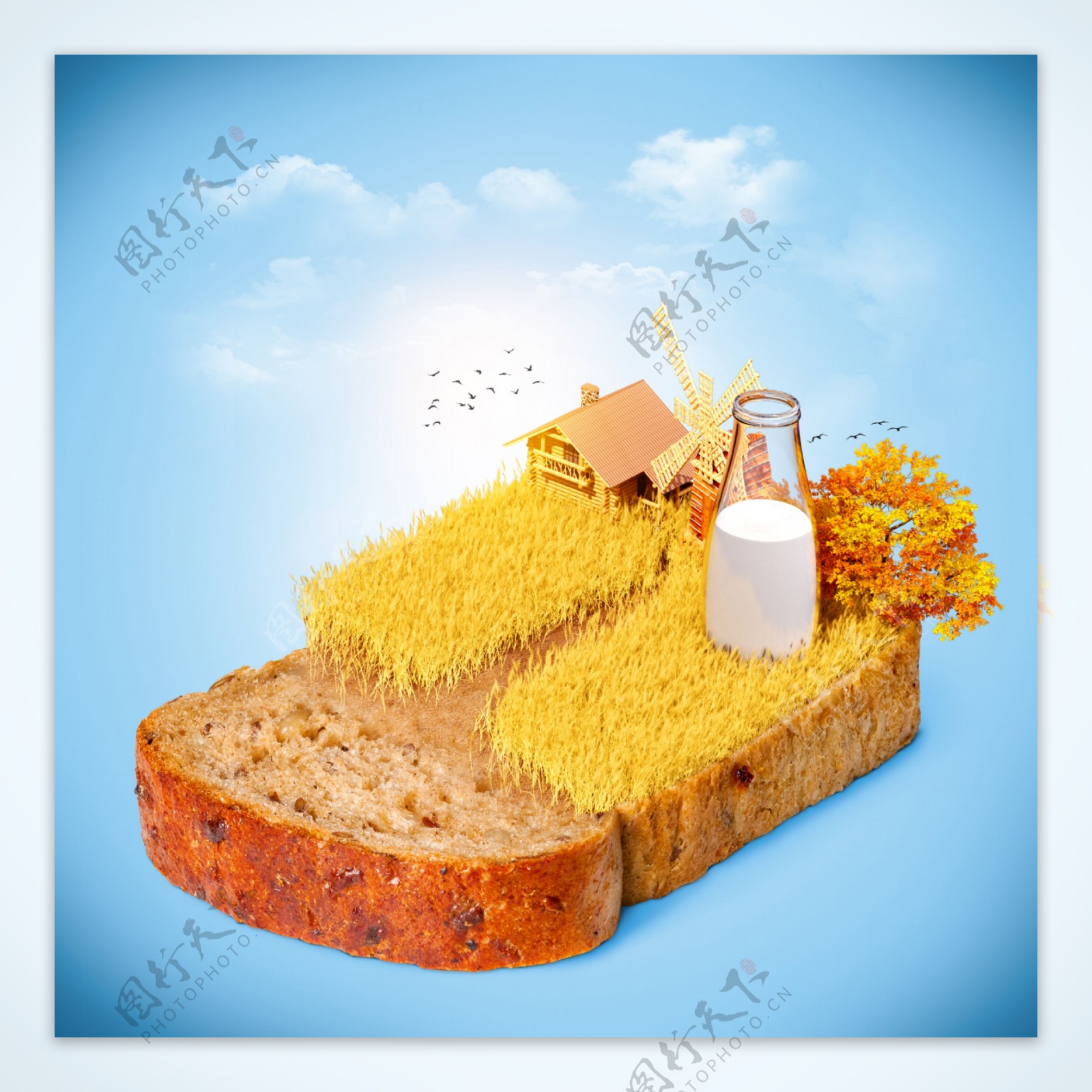 面包创意广告图片