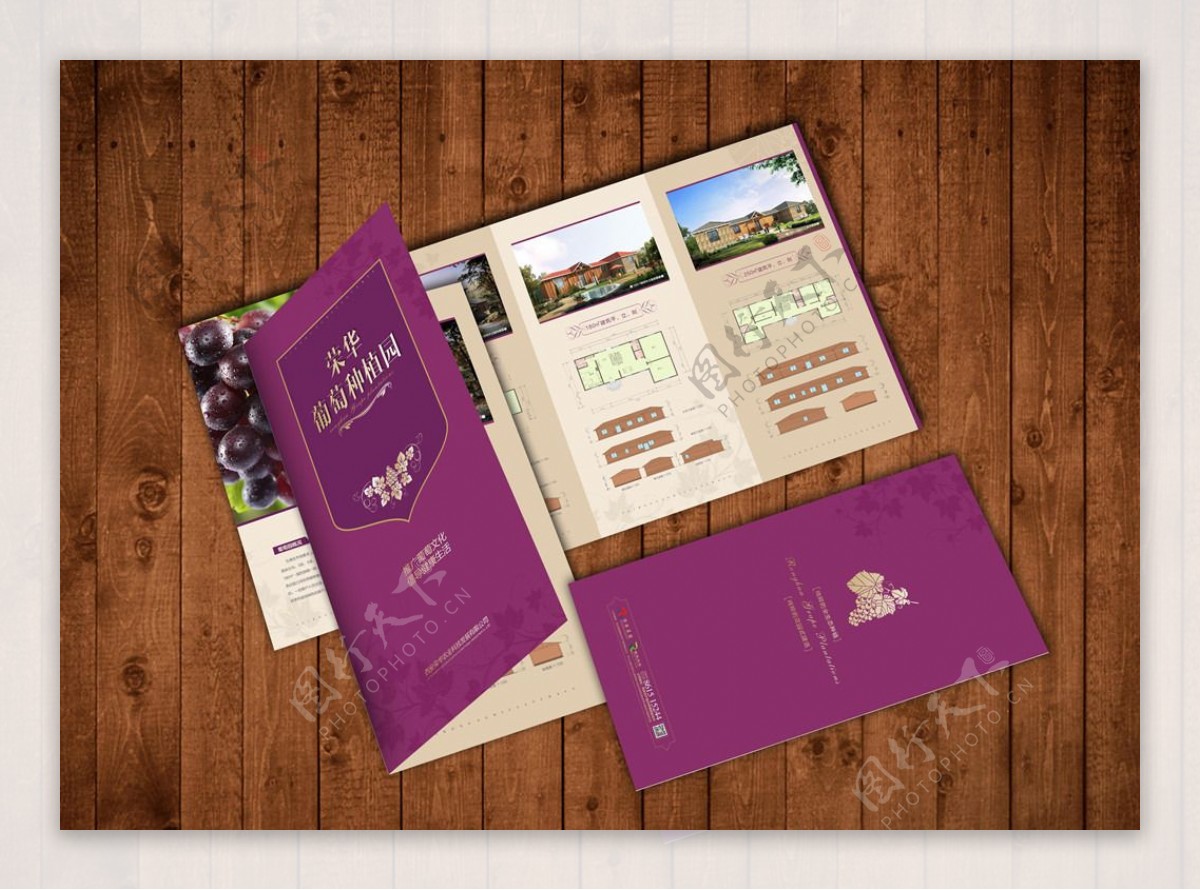 葡萄酒庄园折页设计图片