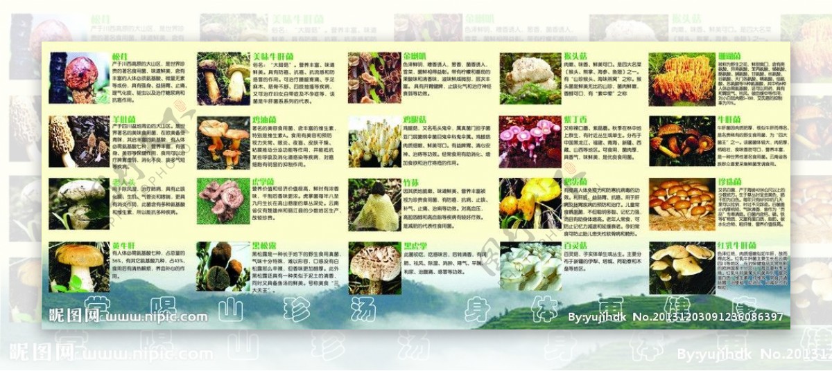 蘑菇宴四折页图片