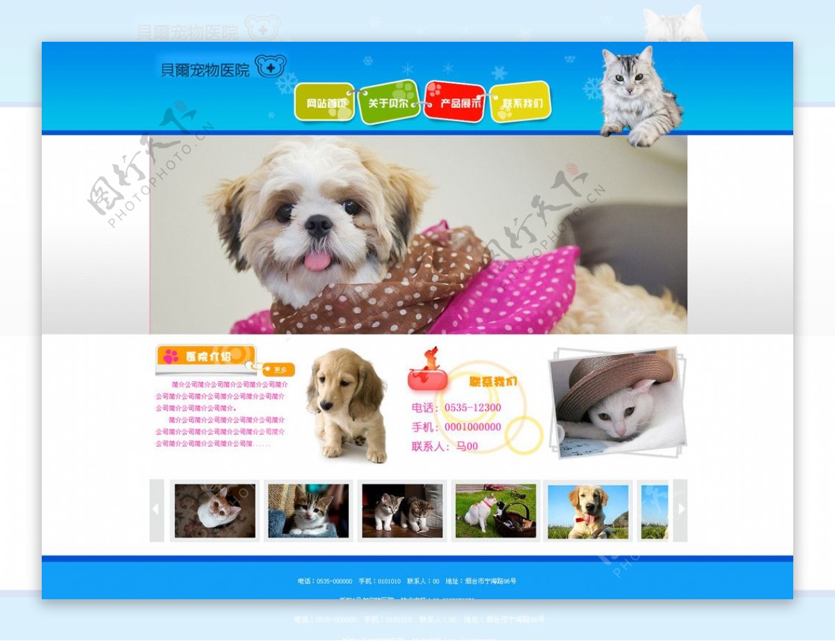 宠物医院网站模板图片