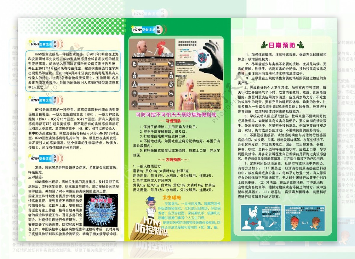 H7N9禽流感宣传彩页图片