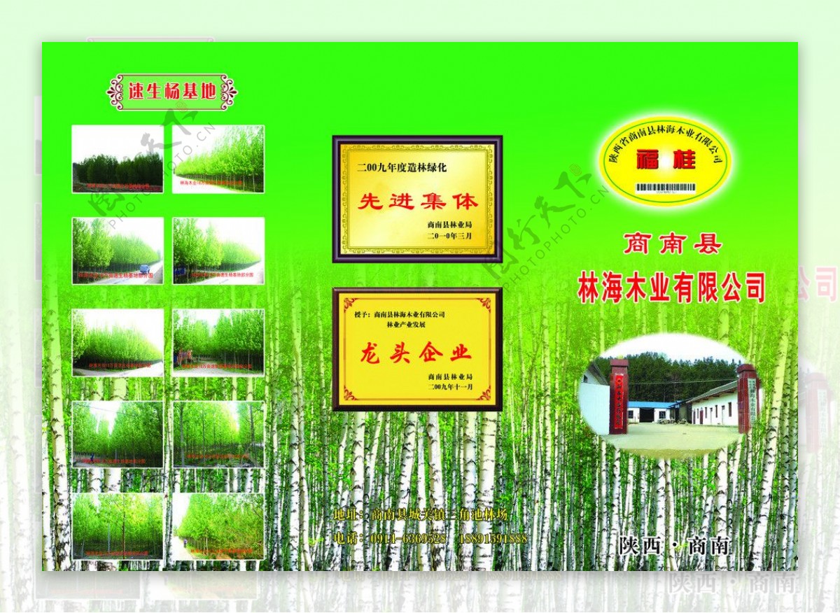 林海木业宣传页图片