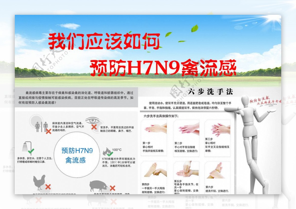 H7N9禽流感图片