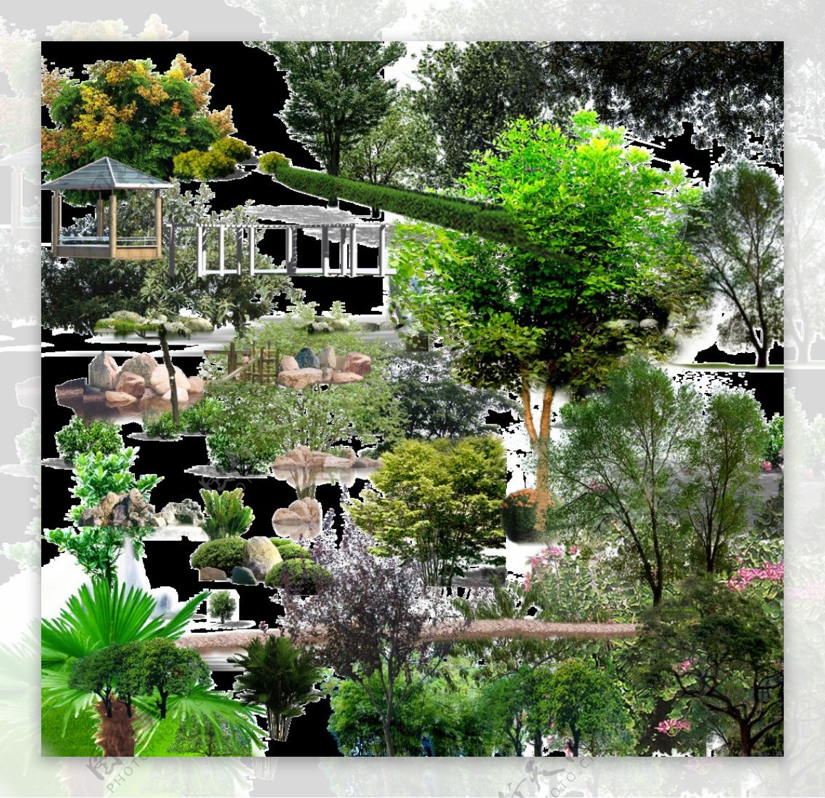 经典园林景观绿化图片