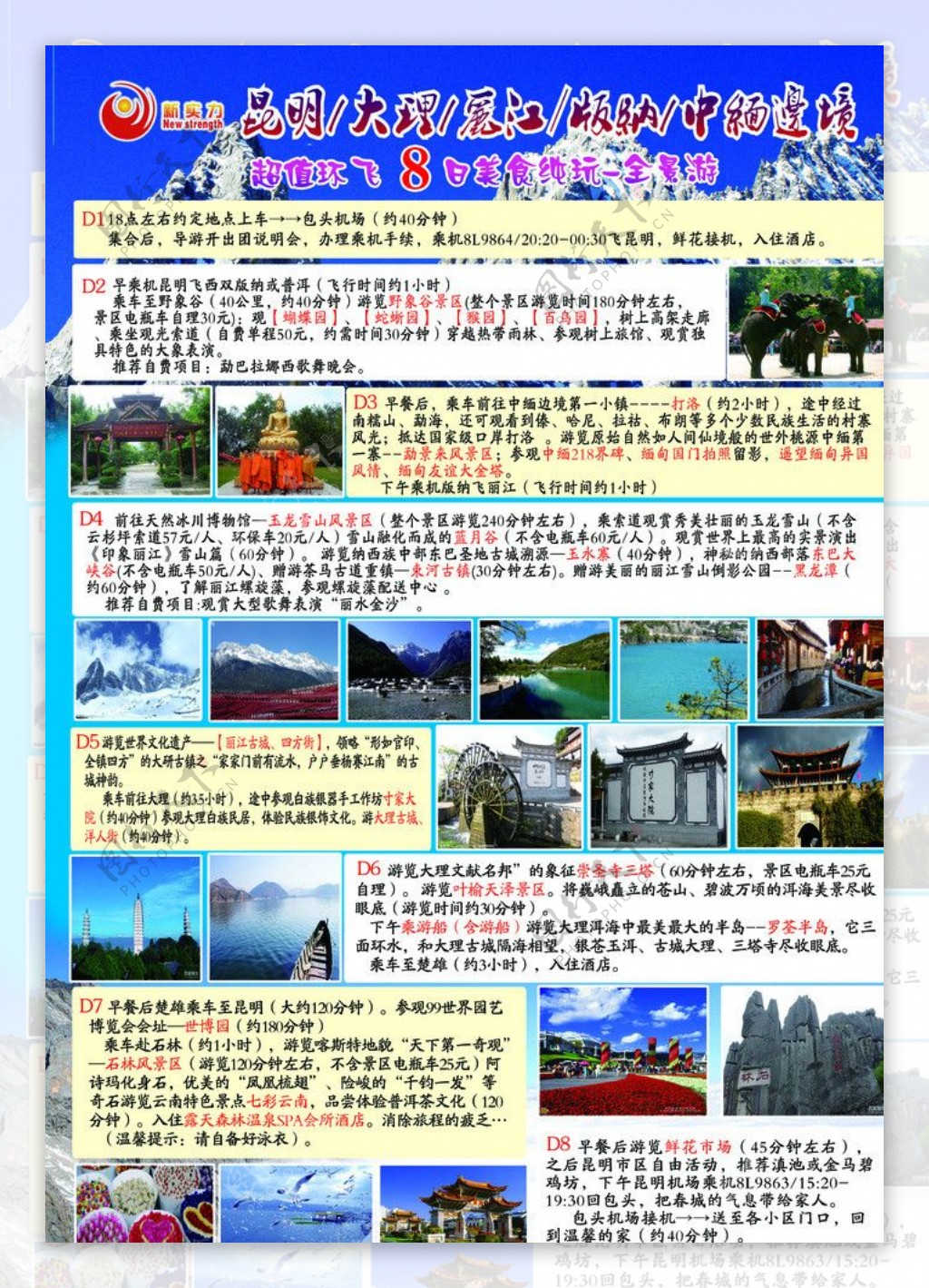 旅游公司彩页图片