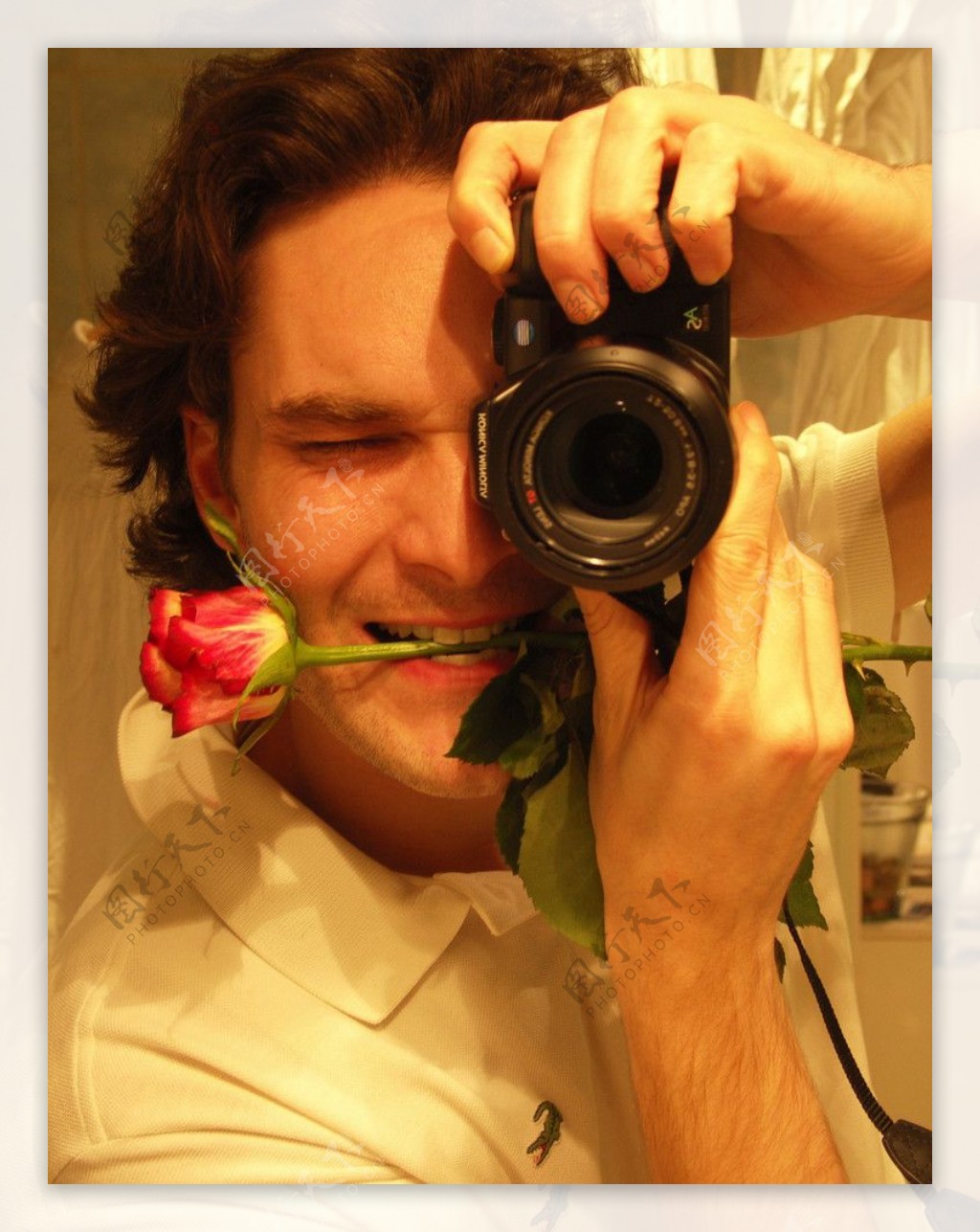 衔着玫瑰的摄影师图片